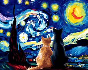 Starry Night Companions