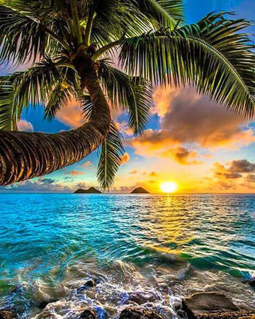 Sunrise