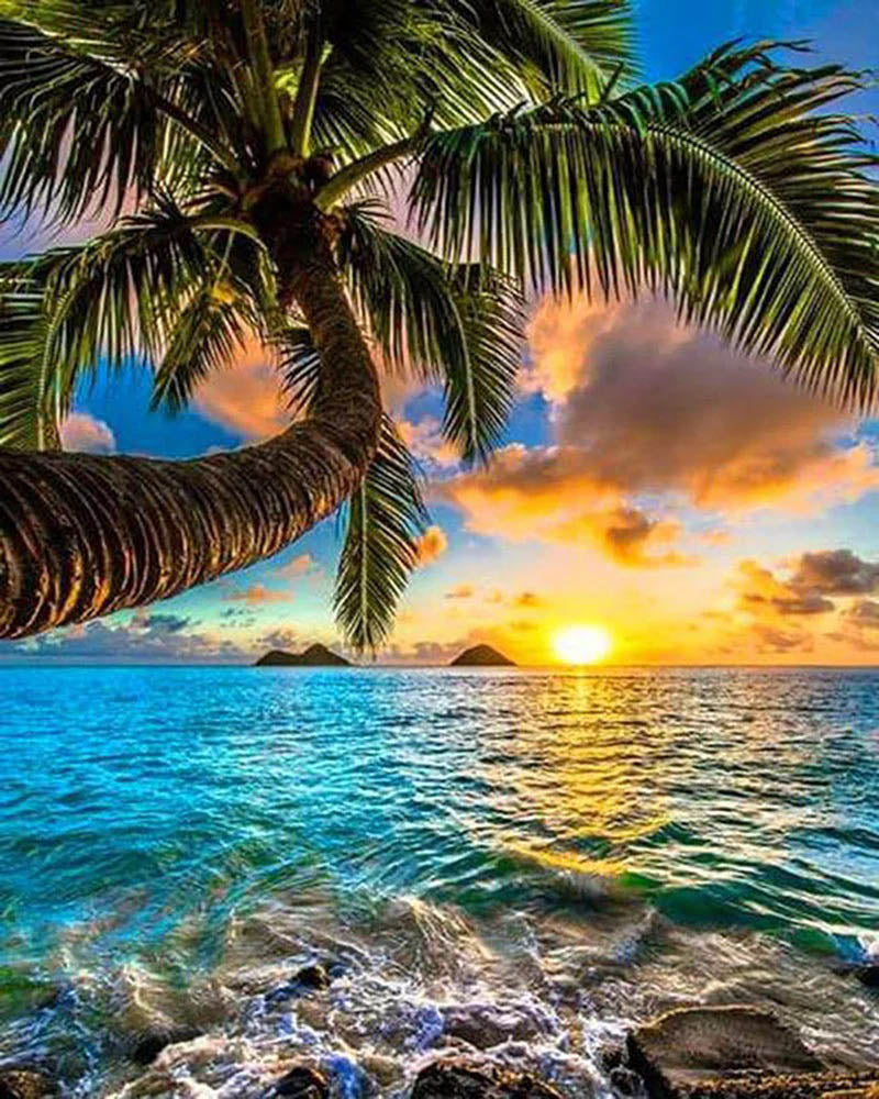 Sunrise