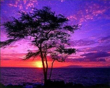 Sunset and Ocean