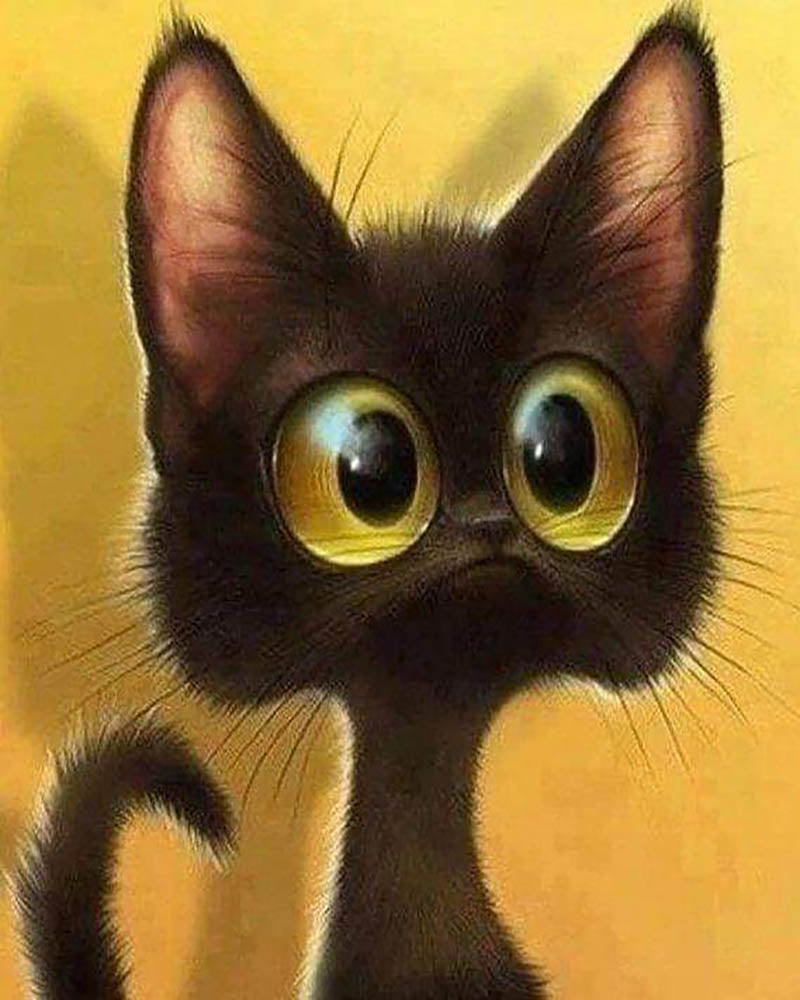 Surprised Cat