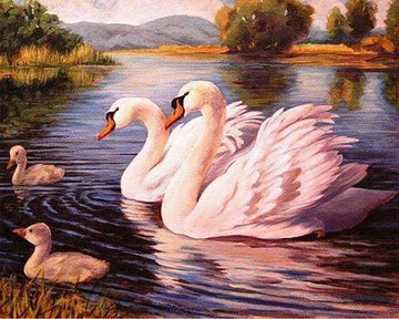 Swans