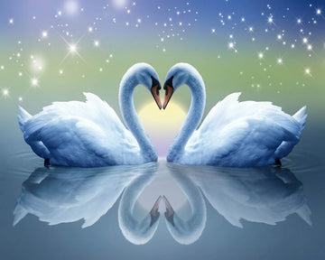 Swans and Heart