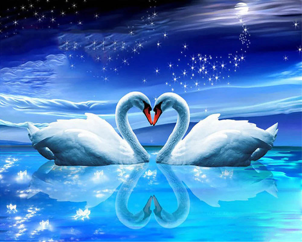 Swans and Heart under the Moon