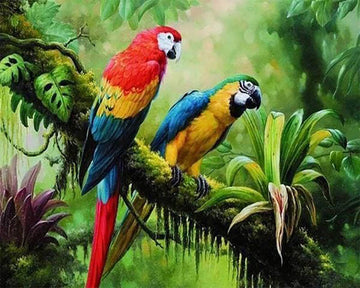 The Parrots
