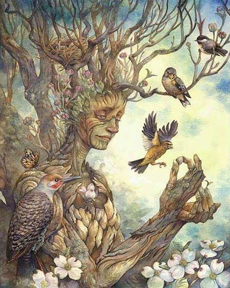 The Woman Tree