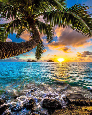 The paradise by the sea