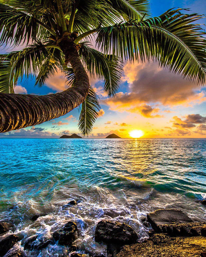 The paradise by the sea