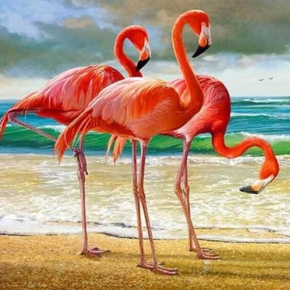 Three Flamingos