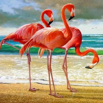 Three Flamingos