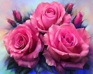 Three Roses blooming