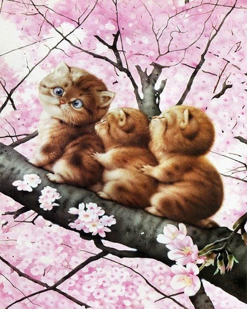 Three kittens on a Branch