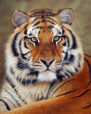 Tiger Eye