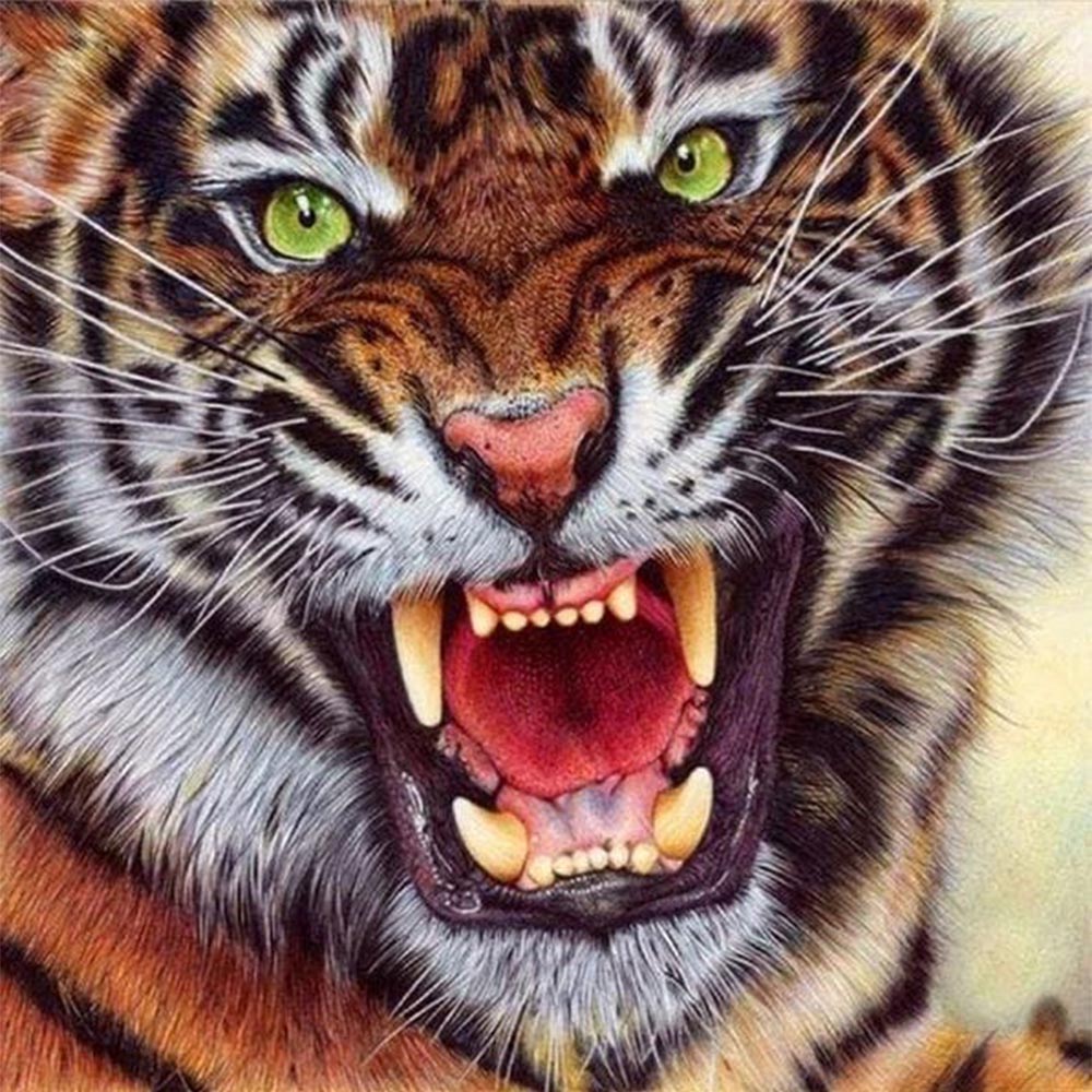 Tiger Teeth