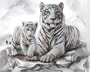Tigers in the Snow
