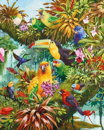 Toucan and other birds
