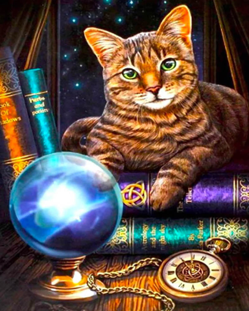 Traveler Cat