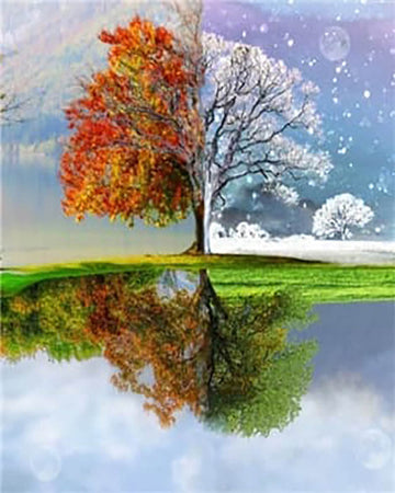 Tree Multi Seasons