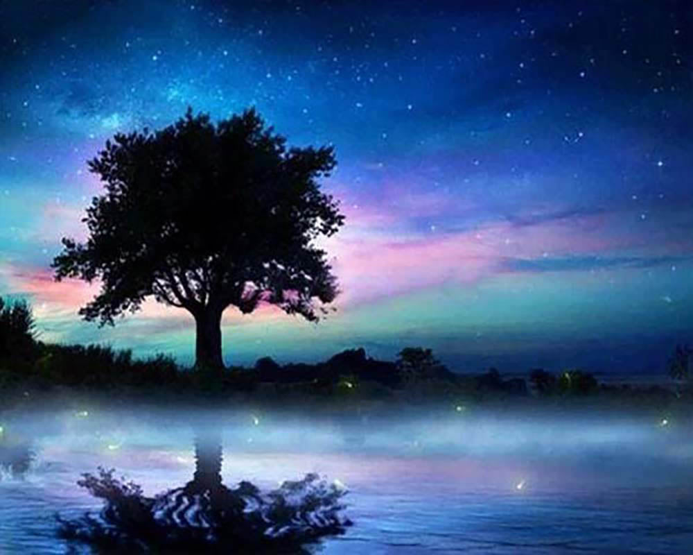 Tree in the Night