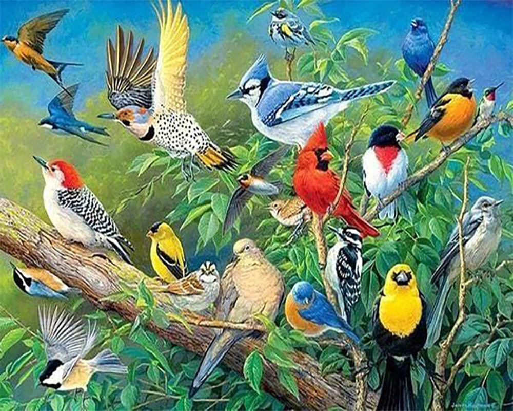 Tropical Birds