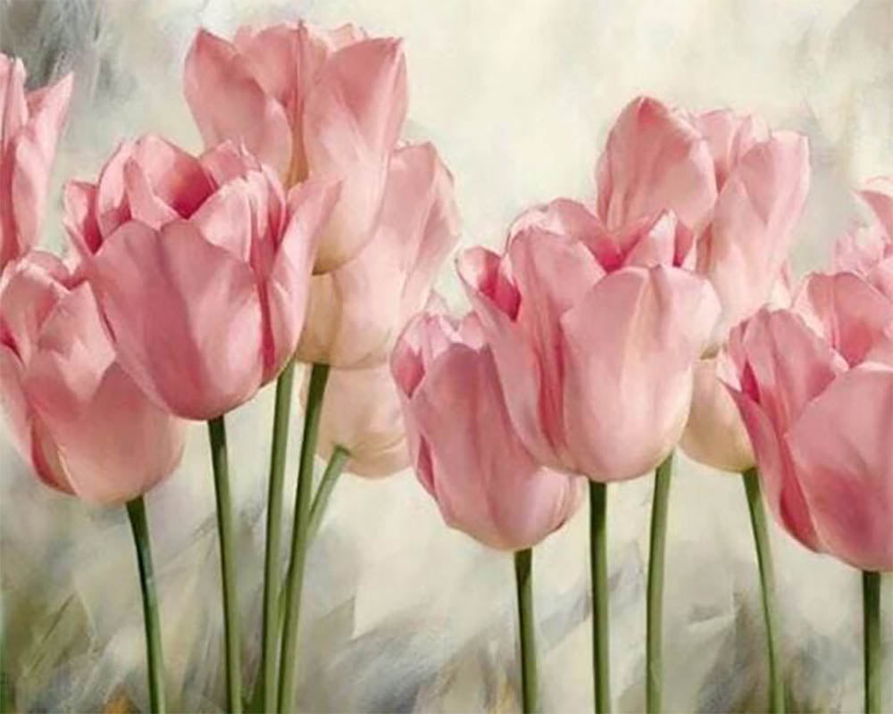 Tulips
