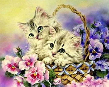 Two Cats and Flowers