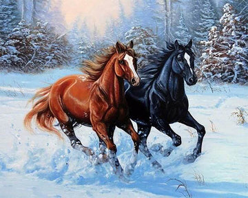 Two Horses in Winter