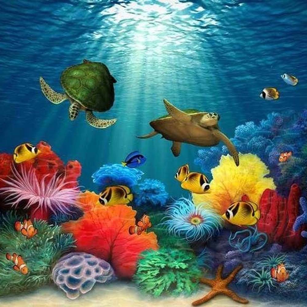 Under the Sea