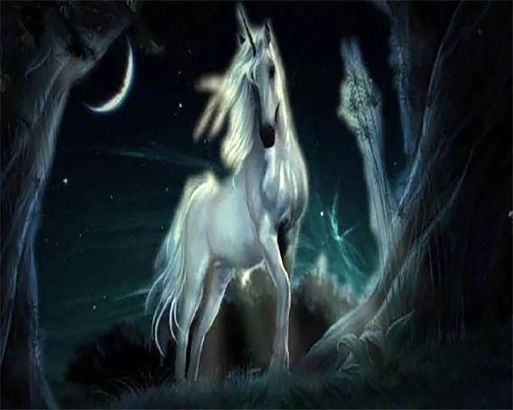 Unicorn in the dark