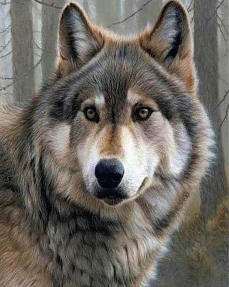 Wolf Portrait