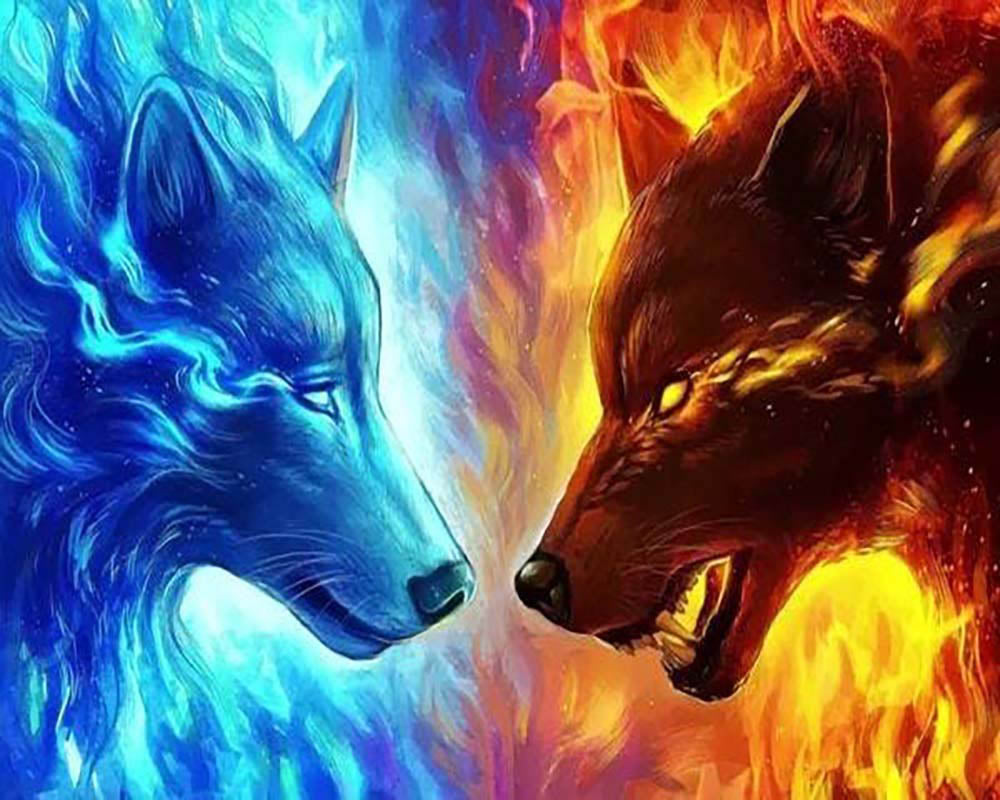 Wolves Ready to Fight