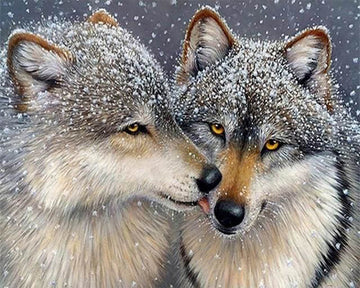 Wolves under the Snow