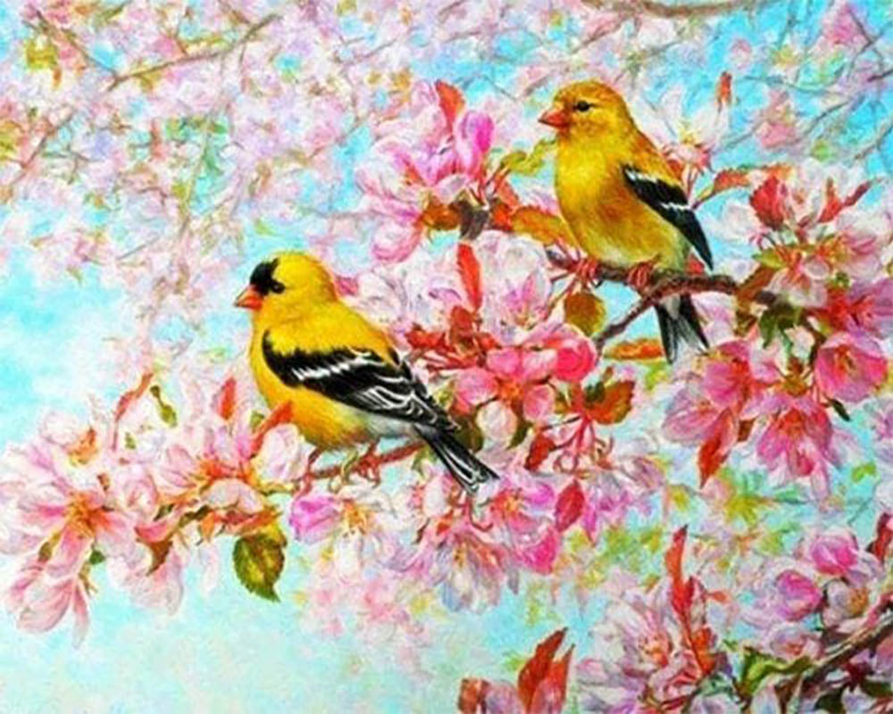 Yellow Birds