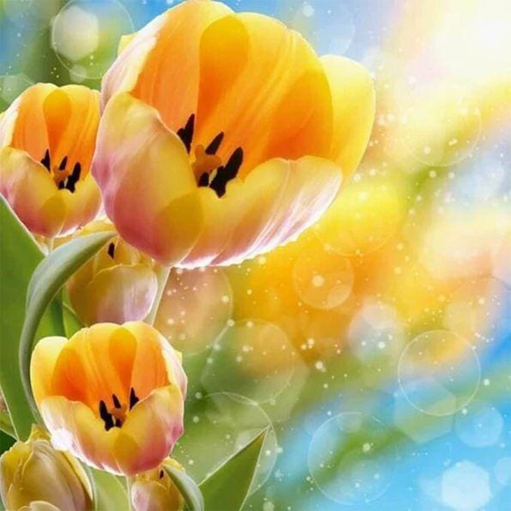 Yellow tulips