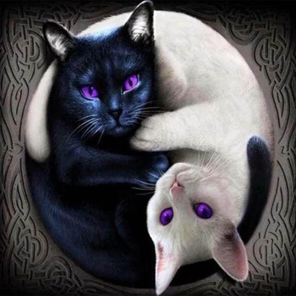 Yin and Yang Cats