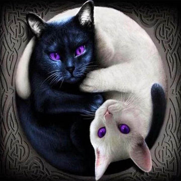 Yin and Yang Cats