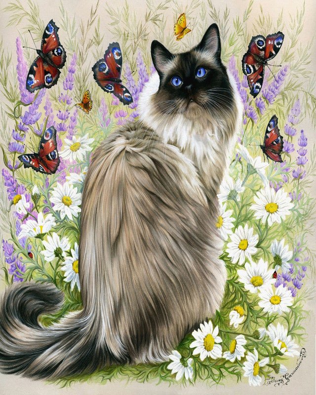 Discovery of butterflies