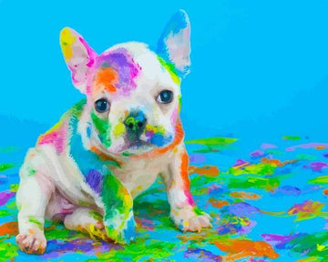 Dog Painting