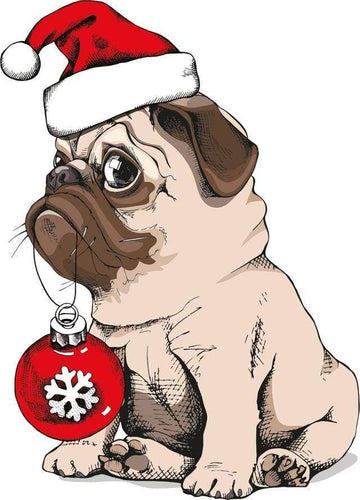 Dog during Christmas