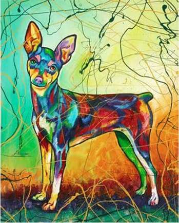 Dog in Multicolors