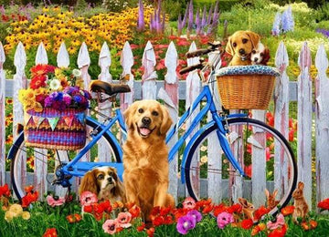 Dogs and Bicycles