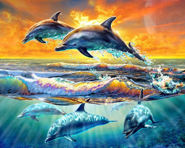 Dolphins