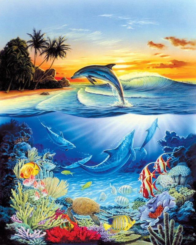 Dolphins in the lagoon