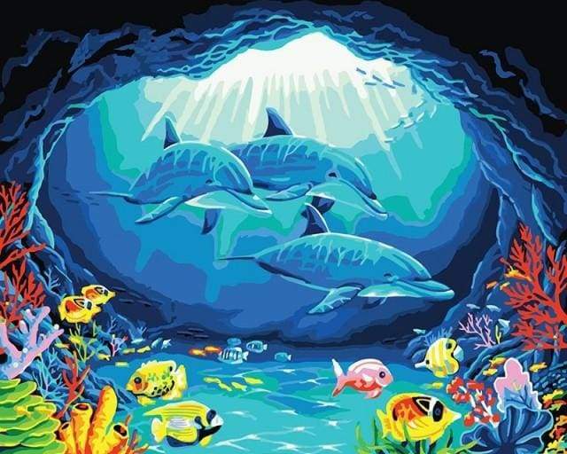 Dolphins ride