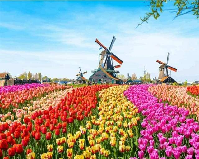 Dutch Windmill Flowers