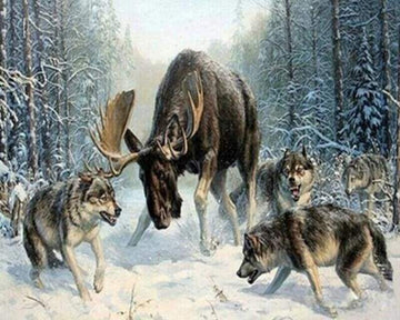Elan surrounded by a pack of wolves
