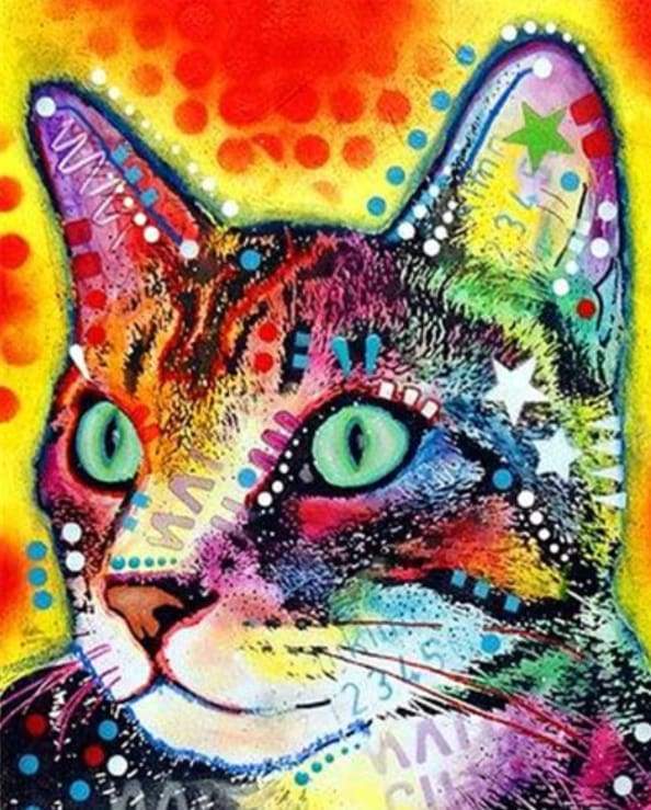 Fashion Cat
