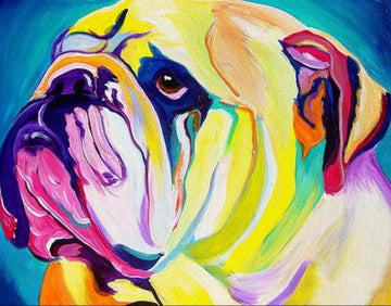 Flashy dog