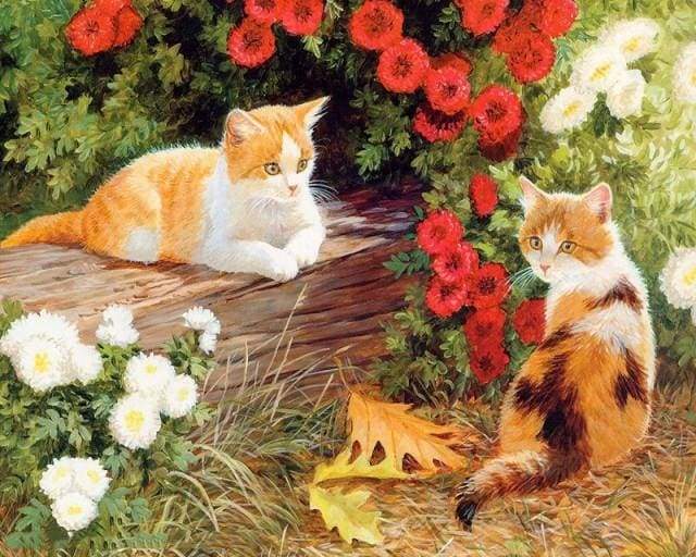 Flowers and Kittens