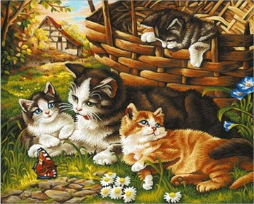 Four Cats